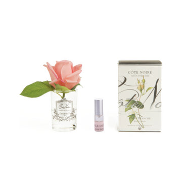 Cote Noire Rose Bud - Clear Silver - White Peach