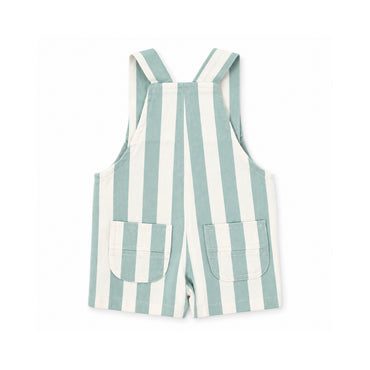 Salty Toes Series Baby Printed Overalls - GREEN STRIPE
