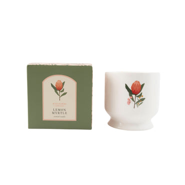 K&Co. Wild Flower Collection Ceramic Candle - WARATAH