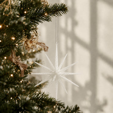 Plum Pudding Christmas Ornament Single Star Burst White