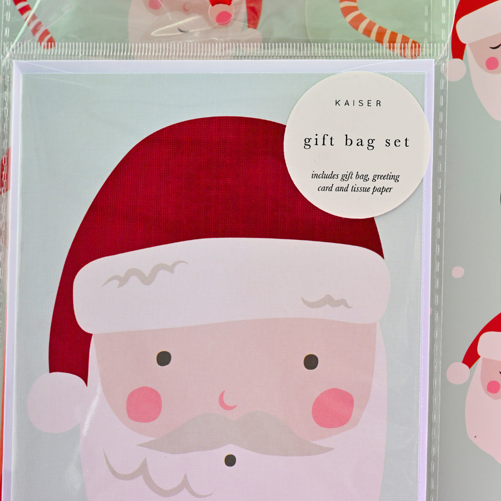 Christmas Small Gift Bag Set - Holly Jolly