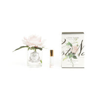 Cote Noire Single Rose - Clear Silver - French Pink
