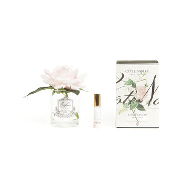 Cote Noire Single Rose - Clear Silver - French Pink