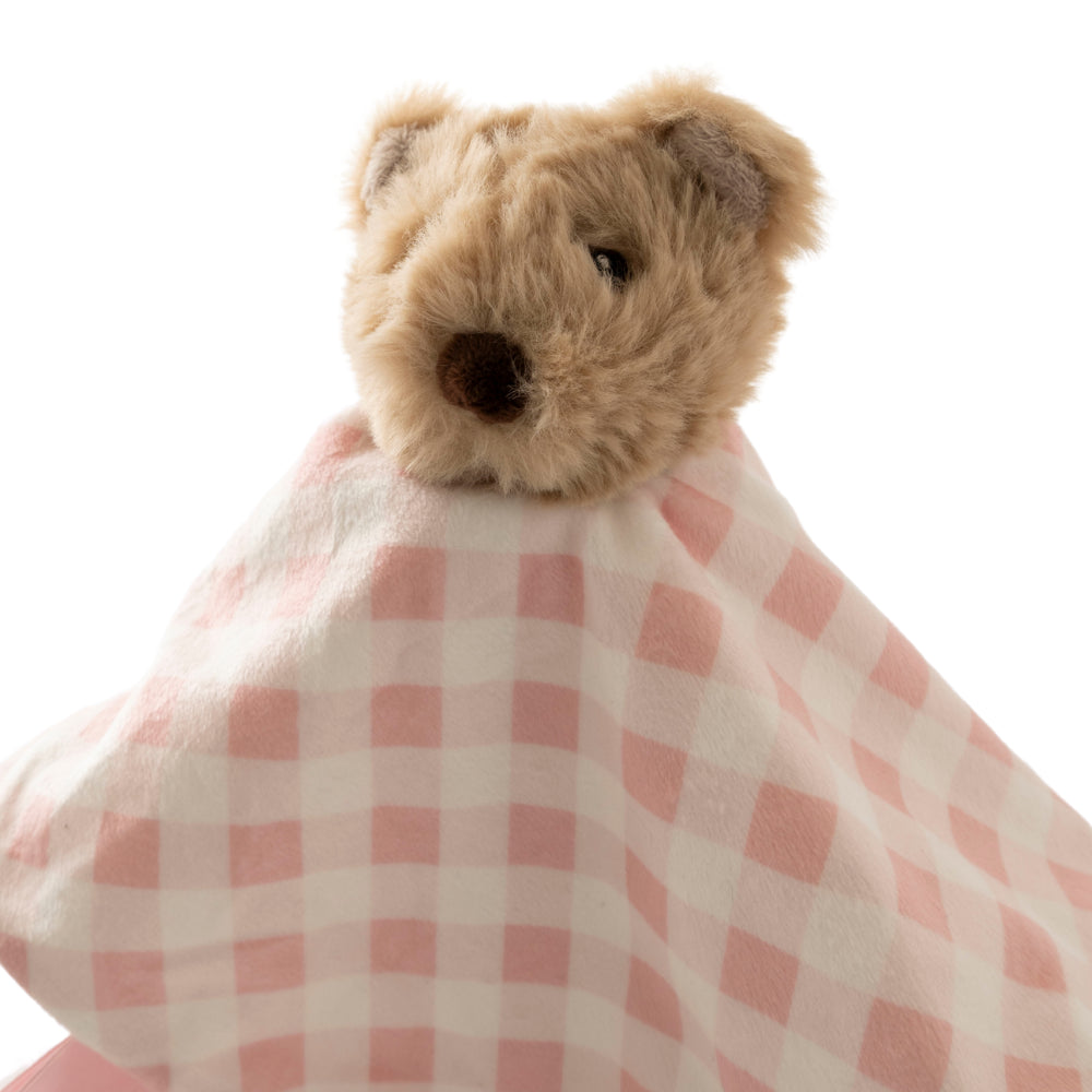 Market Day - Baby Comforter - BEAR