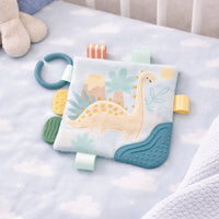 Wonderland Baby Collection Textured Square - BLUE DINOSAUR