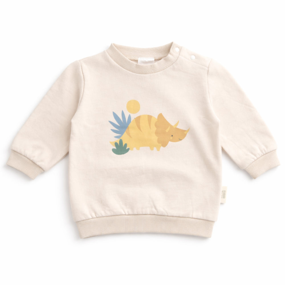 Wonderland Baby Collection Crew Neck Sweater and Legging Set - DINOsaur