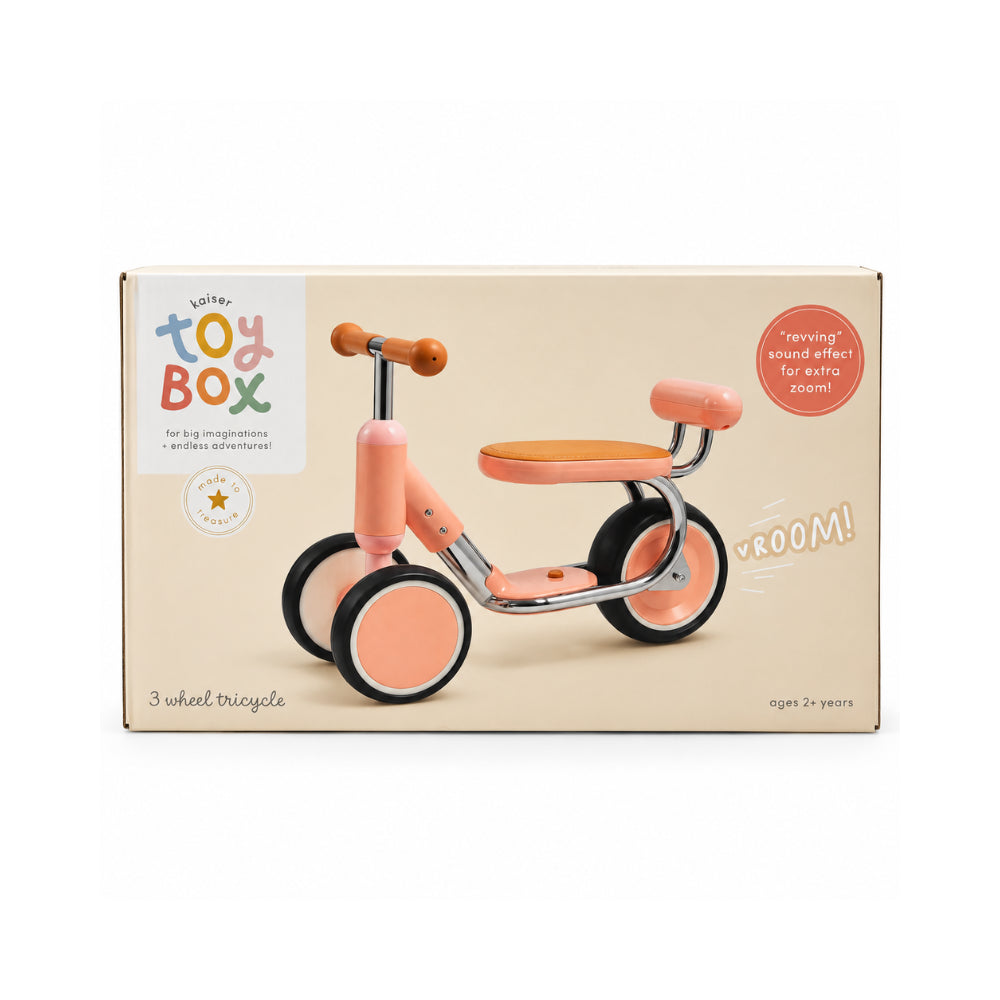 Made To Treasure Kids 3 Wheel Tricycle - PINK