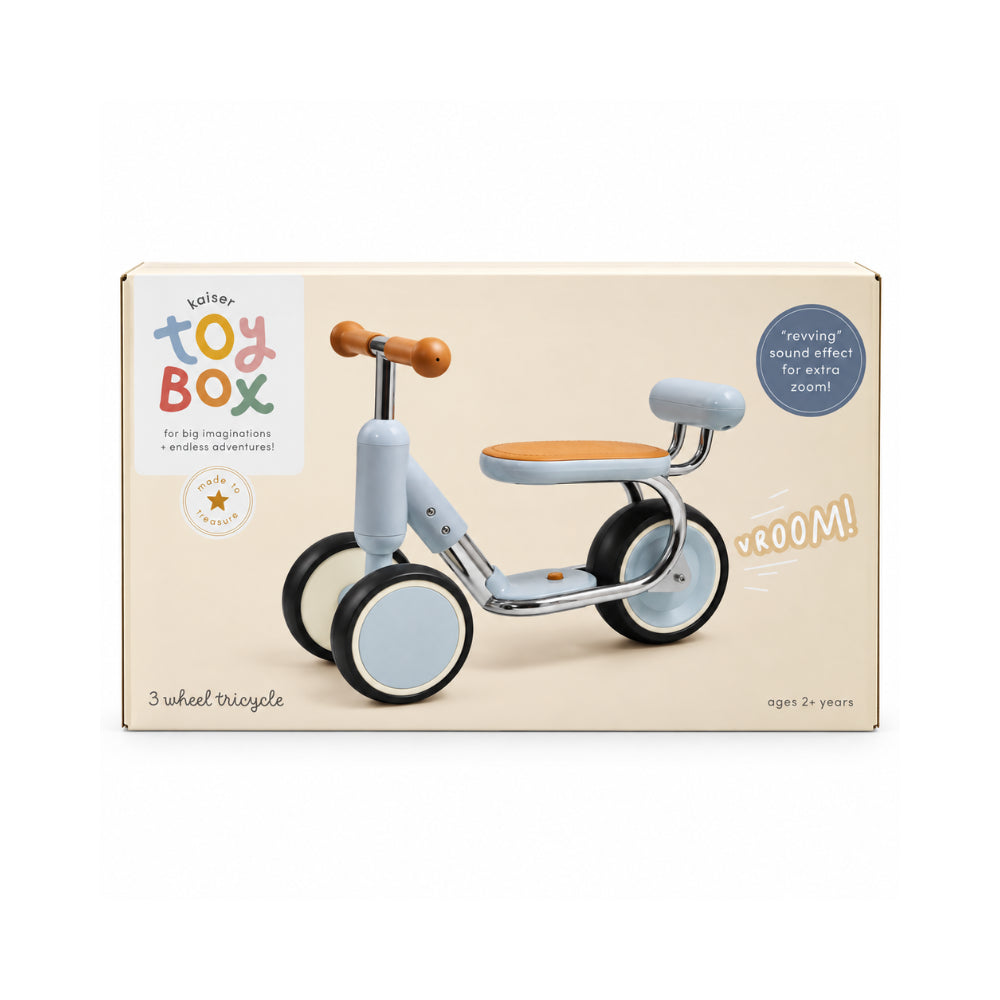 Made To Treasure Kids 3 Wheel Tricycle - BLUE