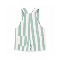 Salty Toes Series Baby Printed Overalls - GREEN STRIPE