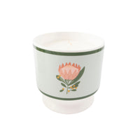 K&Co. Wild Flower Collection Ceramic Candle - PROTEA
