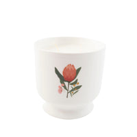 K&Co. Wild Flower Collection Ceramic Candle - WARATAH