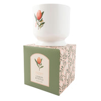 K&Co. Wild Flower Collection Ceramic Candle - WARATAH