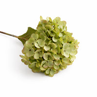 Lake House Collection Stem Hydrangea - GREEN