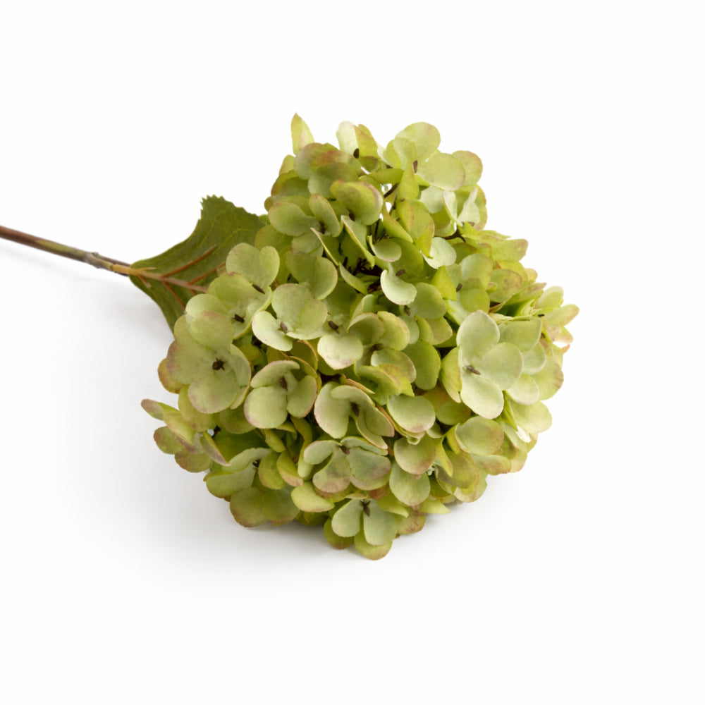 Lake House Collection Stem Hydrangea - GREEN