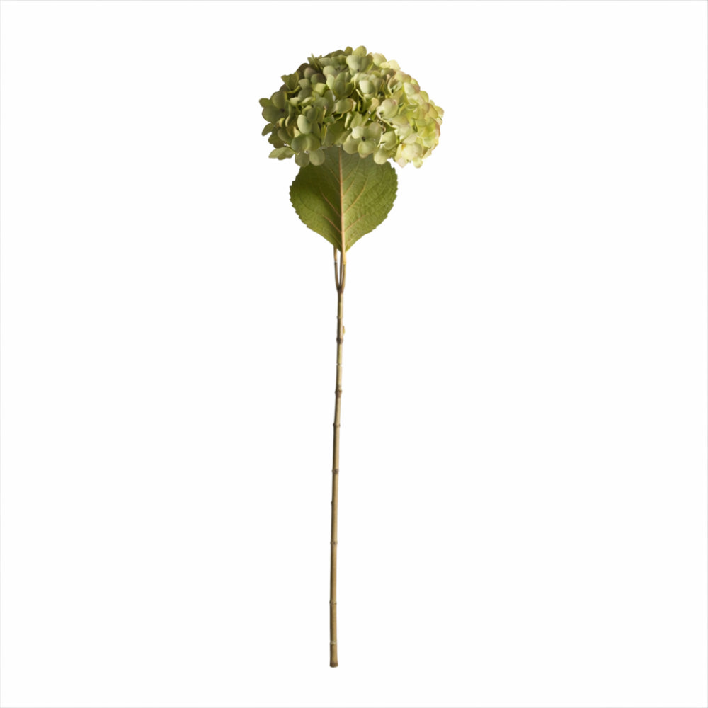 Lake House Collection Stem Hydrangea - GREEN