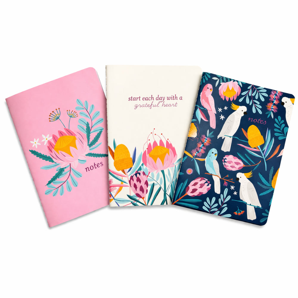 Kaiser 3pk A5 Notebook with Cover Set - INDIGO