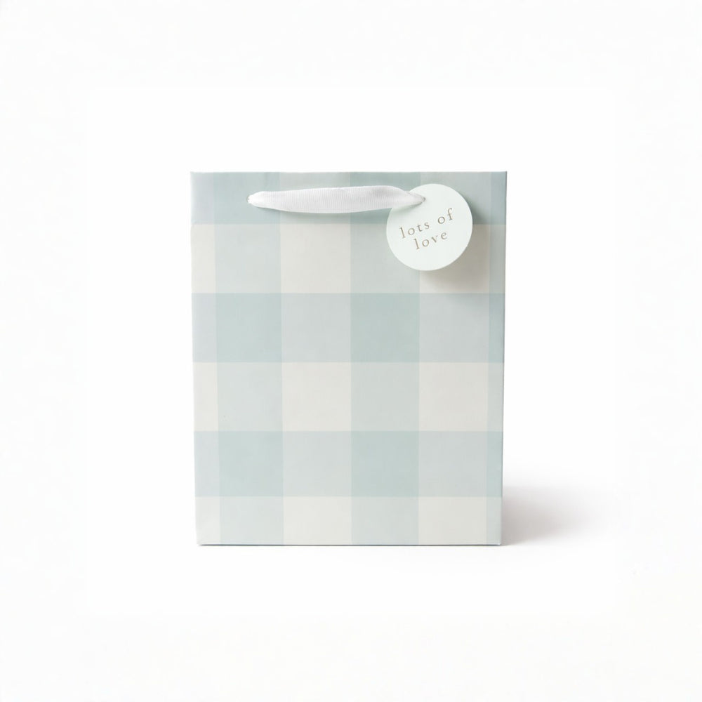 Small Gift  Bag - GREEN GINGHAM