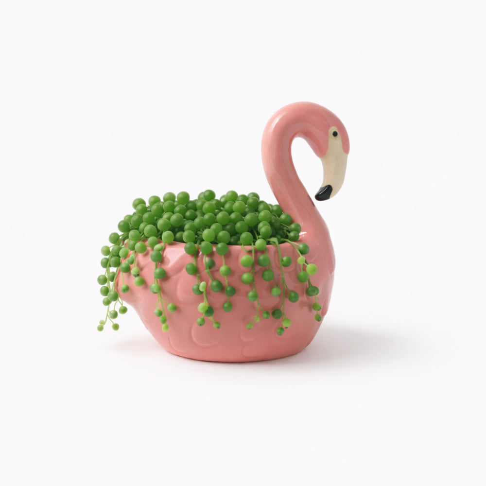 The Daisy Edit Ceramic Pot - FLAMINGO