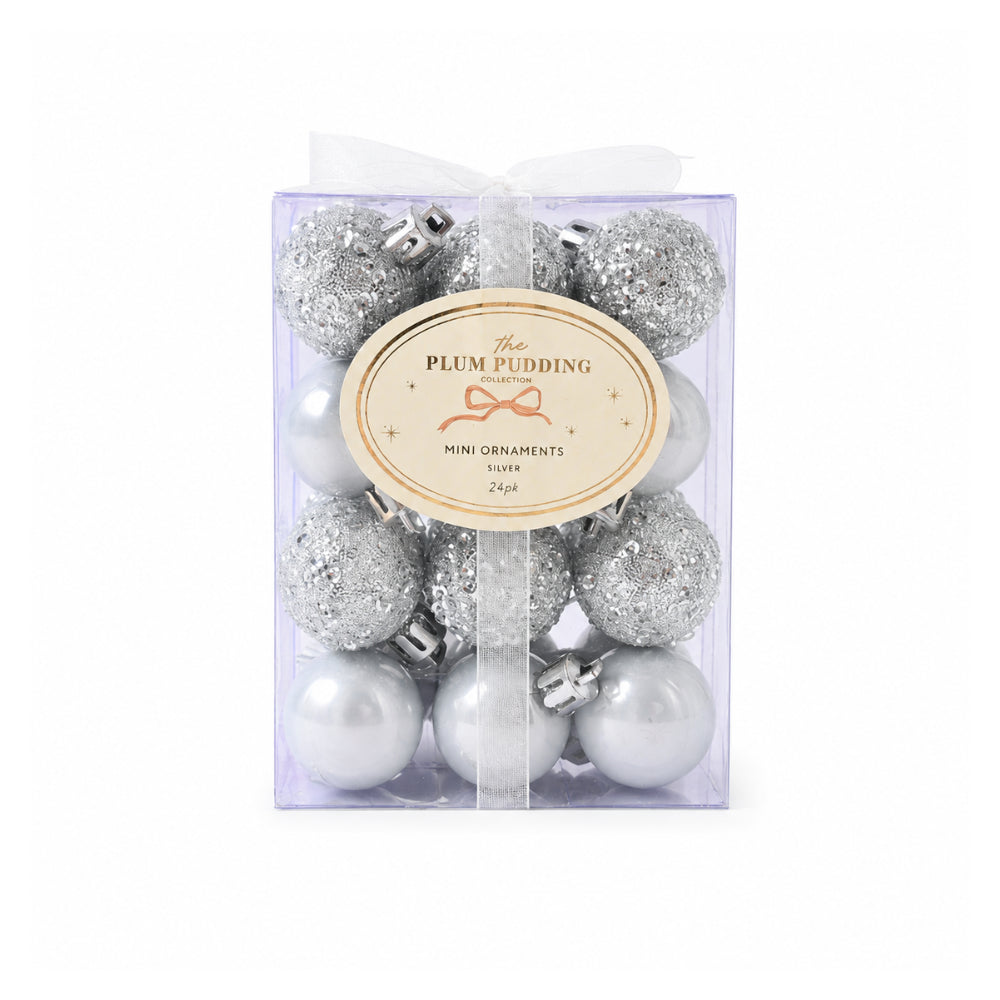 Plum Pudding Christmas Ornaments Mini 24pk 3cm Silver