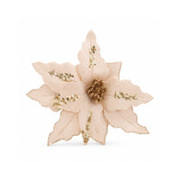 Plum Pudding Christmas Poinsettias 4pk Champagne Gold