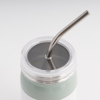 House Series Insulated Smoothie Cup 420ml - SAGE
