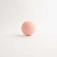 Pet Throw Ball - PINK