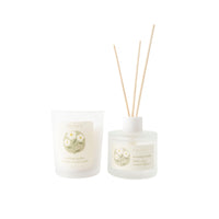 Flower Beauty Candle & Diffuser Set Mini Birth Flower - PRIMROSE