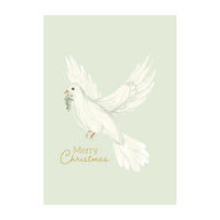 Christmas Card - Christmas Dove