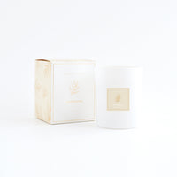 Candles - VANILLA HONEY
