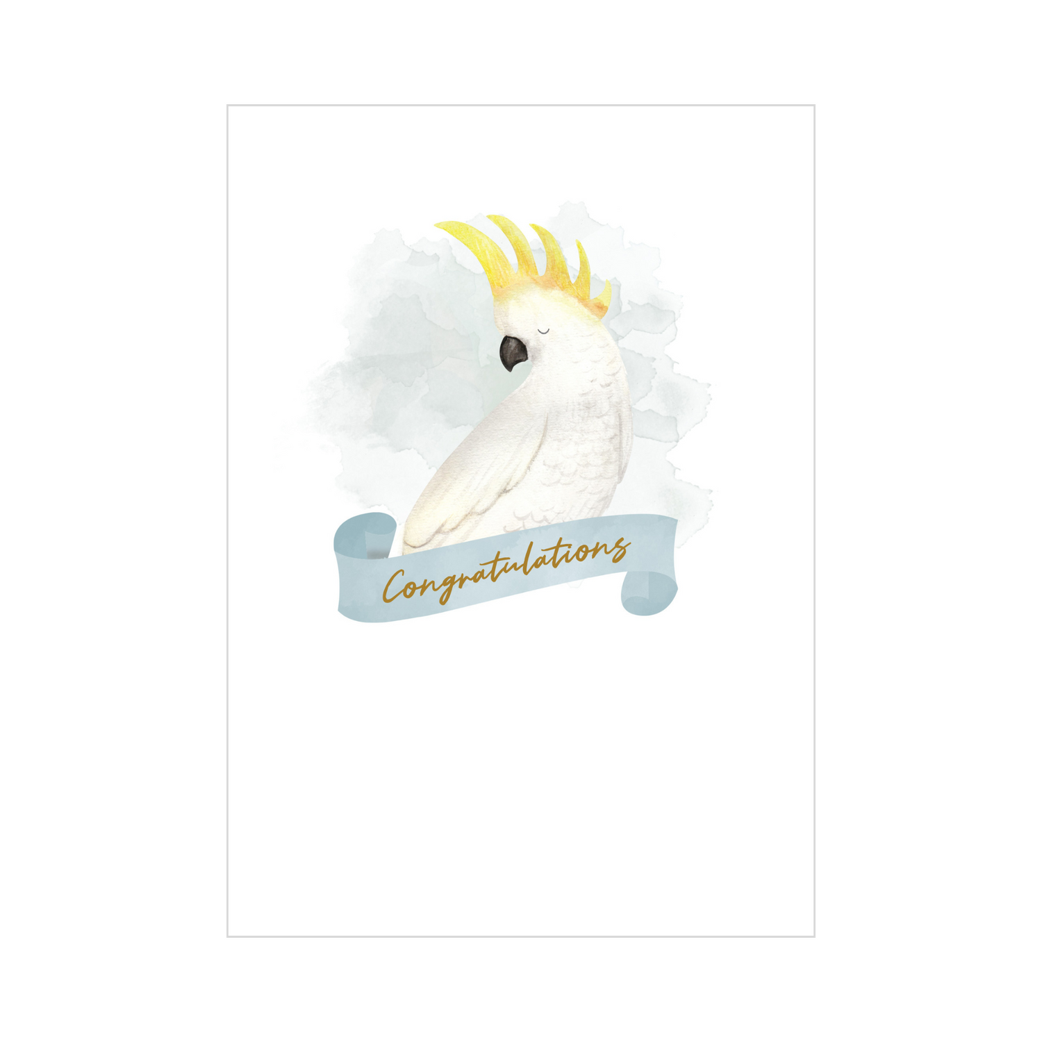 Stationery & Wrap - Cards - Congratulations