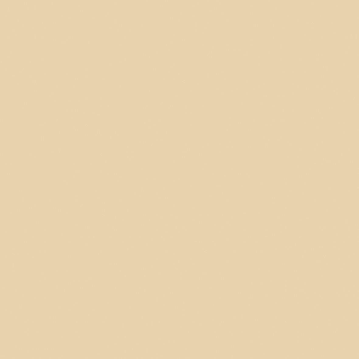12 x 12 Weave Cardstock Bundle - Oatmeal