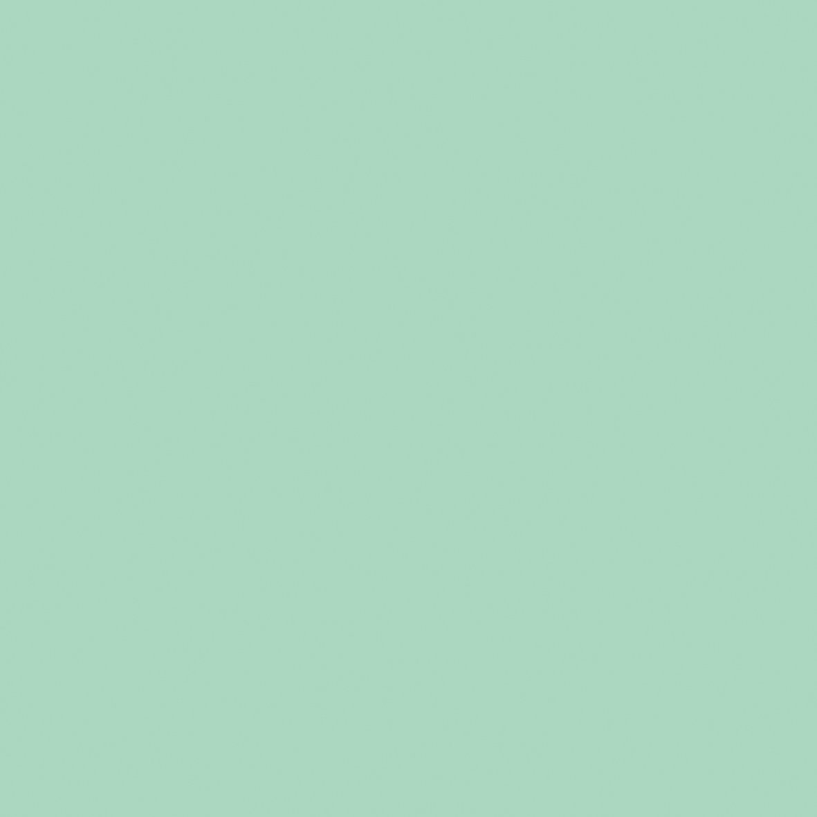 12 x 12 Weave Cardstock Bundle - Peppermint