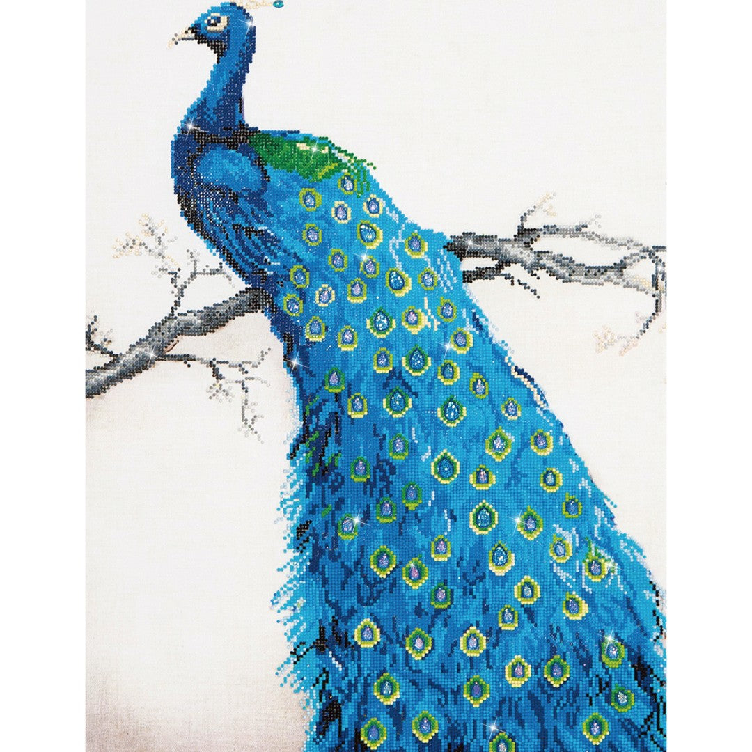 Diamond Dotz - Blue Peacock